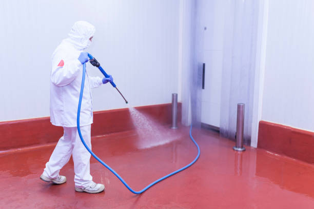 Best Sidewalk and Walkway Cleaning  in Malta, IL
